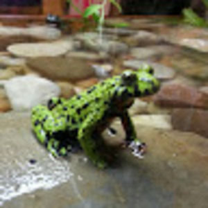 Meet your Posher, Steven